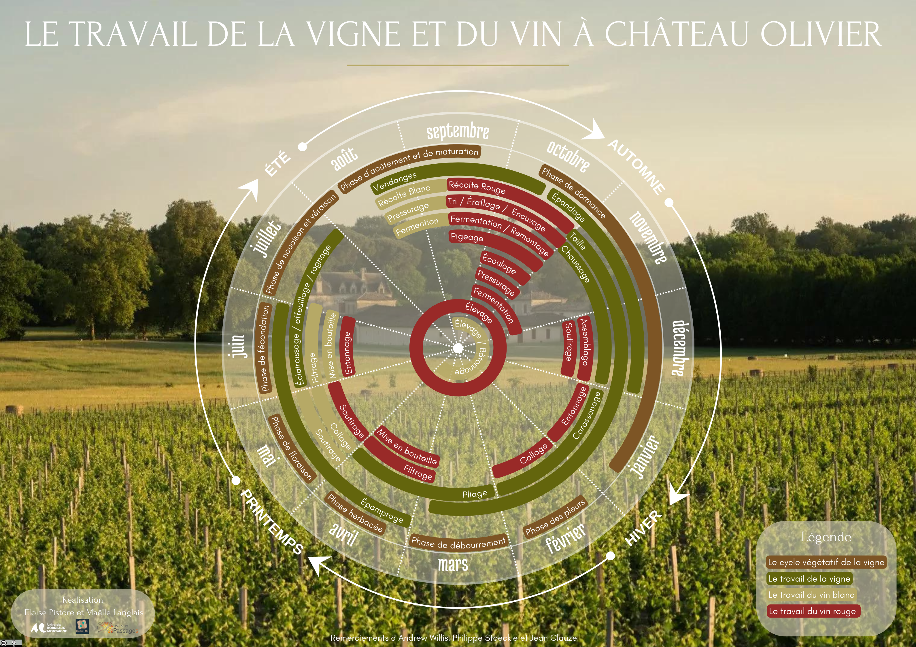 « Que se cache-t-il derrière une bouteille de vin ? » - Le travail de la vigne et du vin - Image 1