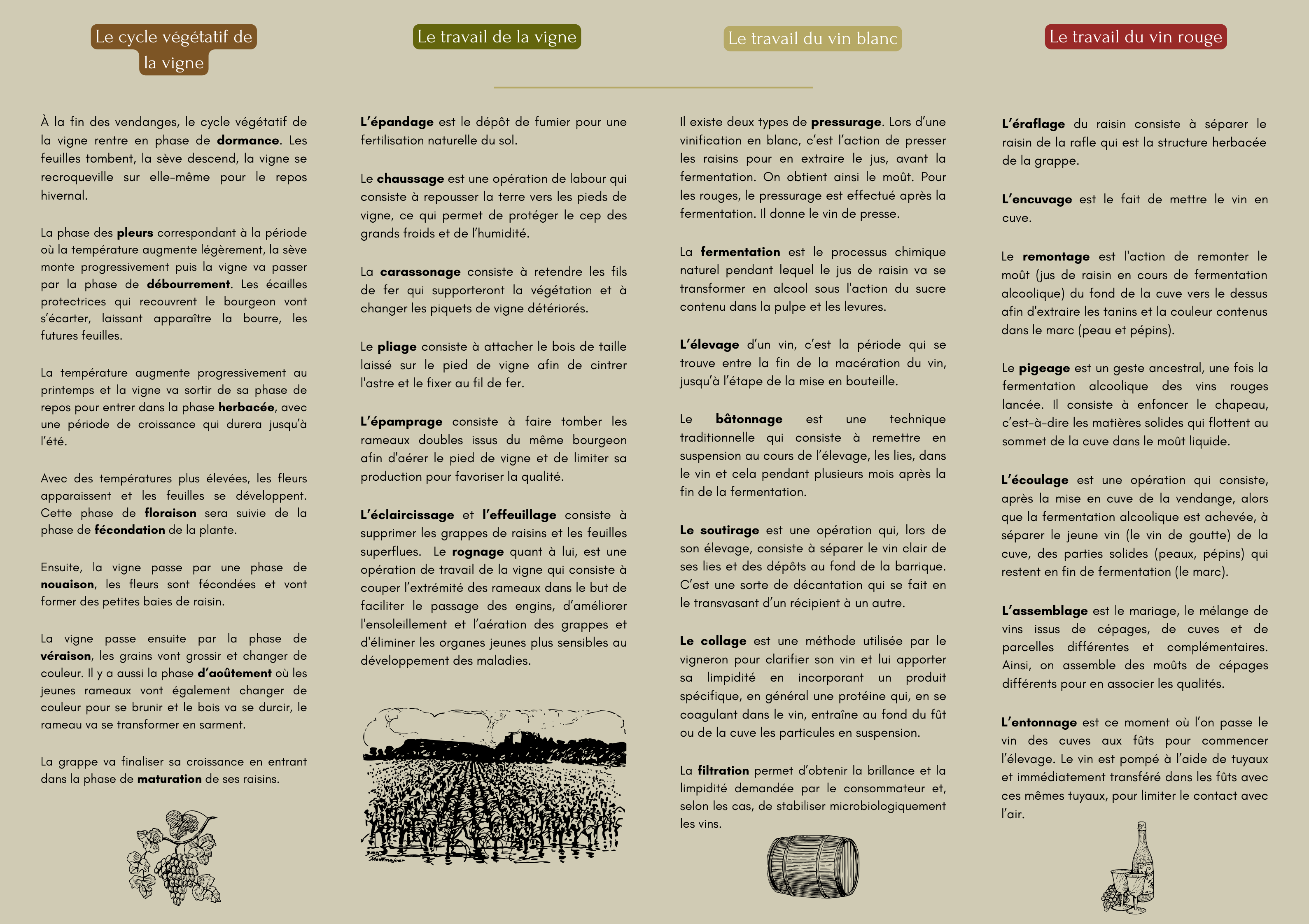 « Que se cache-t-il derrière une bouteille de vin ? » - Le travail de la vigne et du vin - Image 2